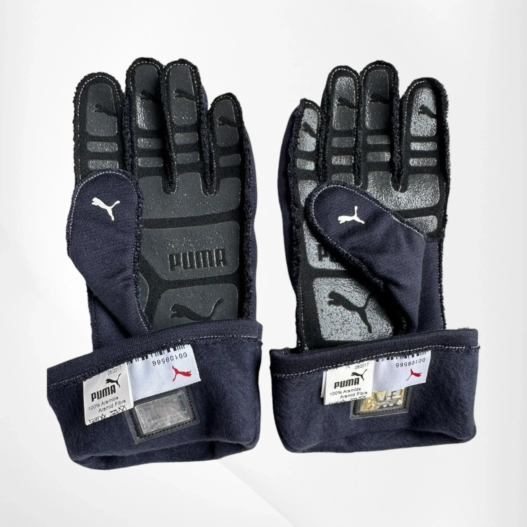 2017 Daniel Ricciardo F1 Race Gloves