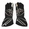 2017 NICO HÜLKENBERG F1 RACE GLOVES - Dash Racegear Store