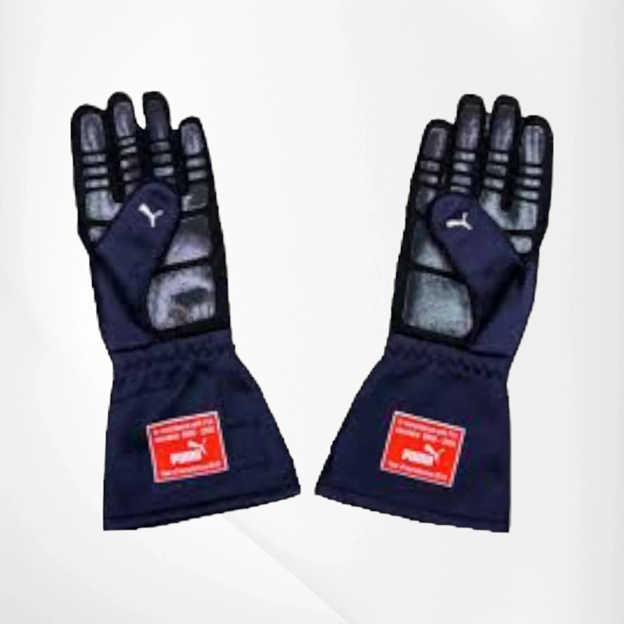 2019 MAX Verstappen F1 Race Gloves