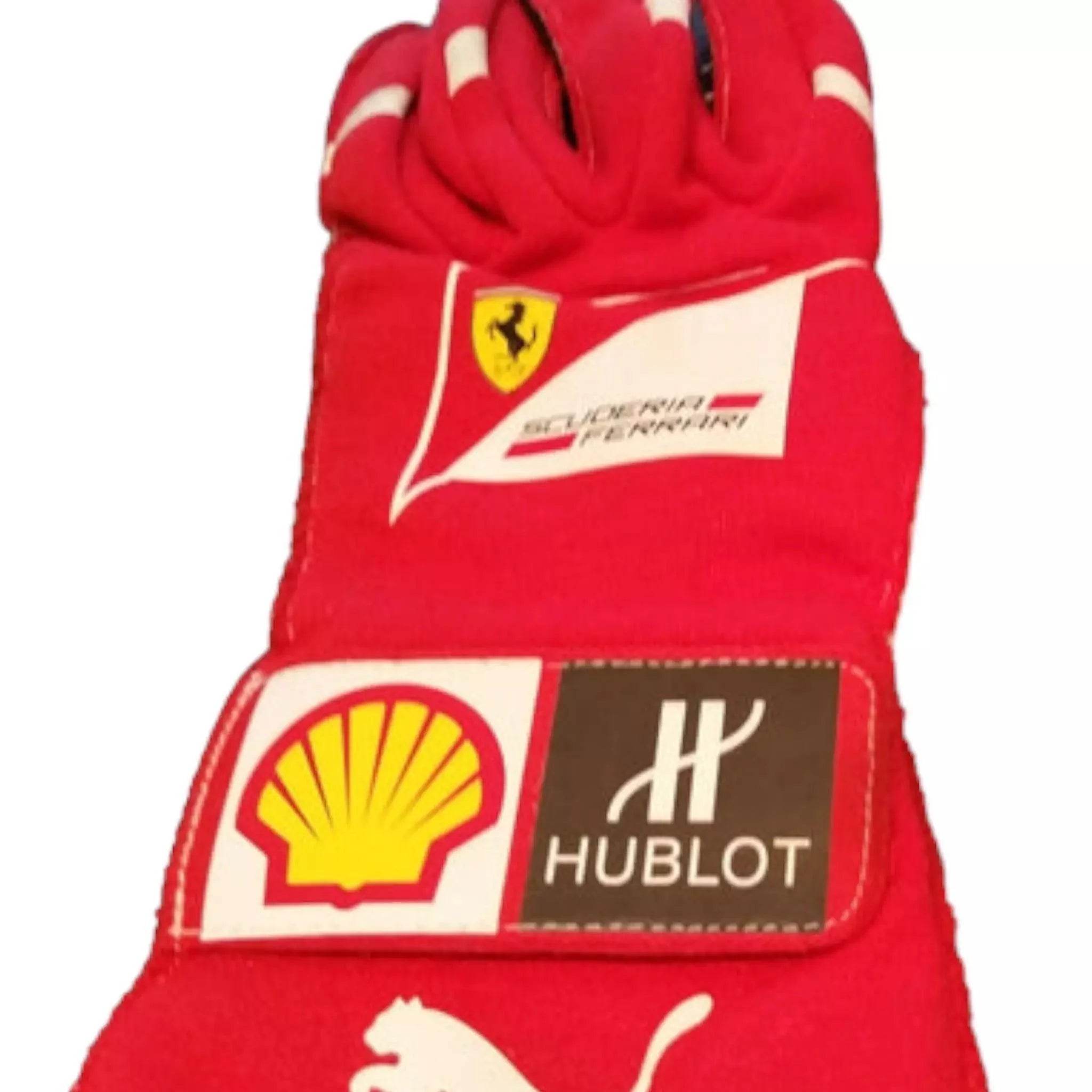 2014 Fernando Alonso gloves - Abu Dhabi GP - Dash Racegear Store