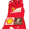 2014 Fernando Alonso gloves - Abu Dhabi GP - Dash Racegear Store