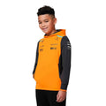 Junior Official Teamwear Hooded Sweat Formula 1