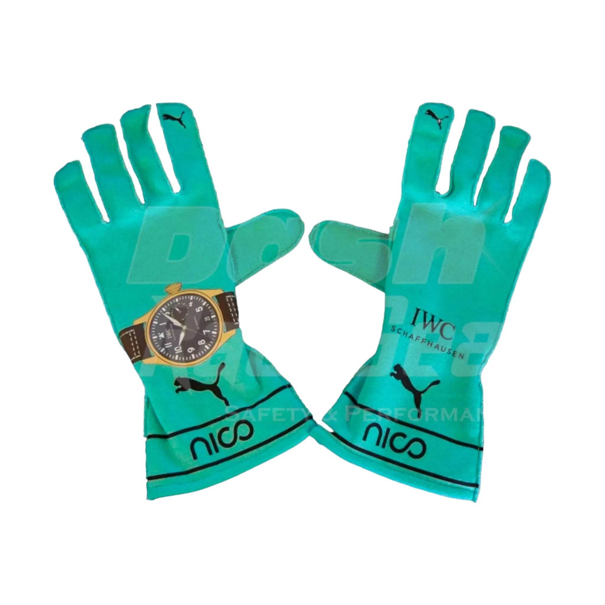 Mercedes AMG Petronas F1 Team Gloves - AbuDhai GP - Dash Racegear Store