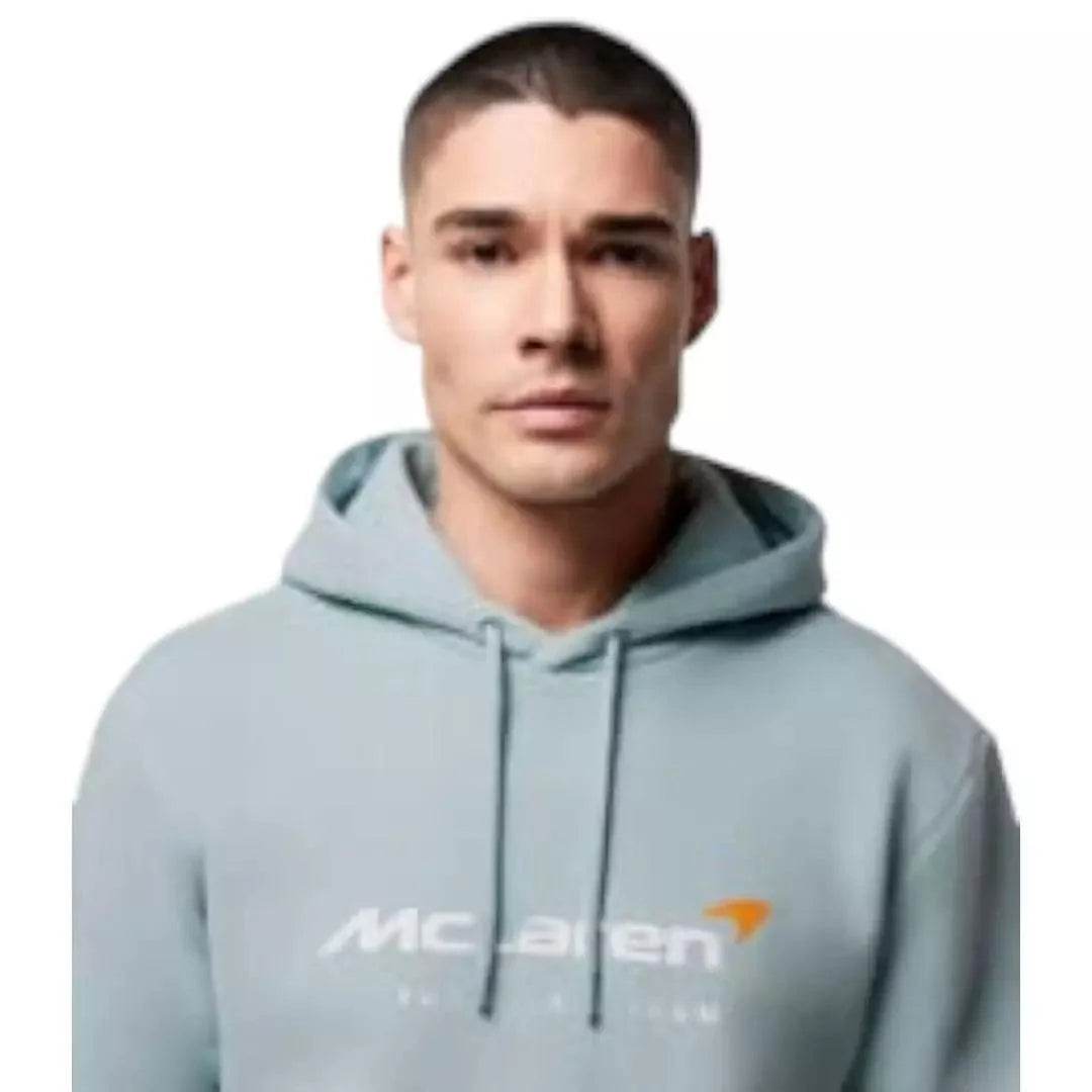 MENS TEAM CORE ESSENTIALS HOODIE - Dash Racegear Store